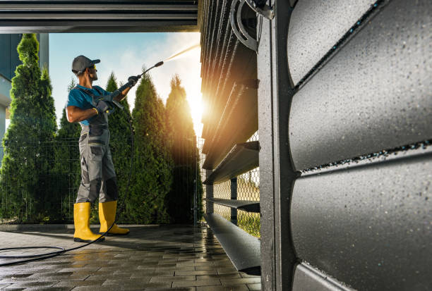 Best Roof Power Washing Services  in Freeland, WA